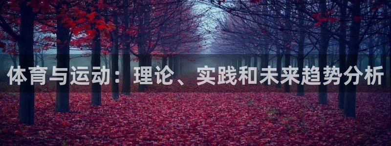 一竞技官方正版app娱乐代理怎么样:体育与运动:理论、实践和