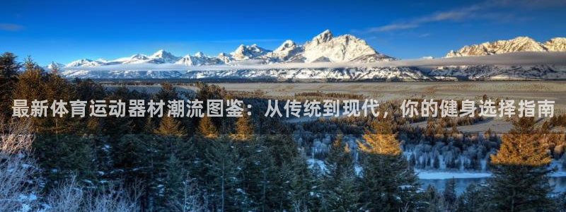 注册一竞技官方正版app:最新体育运动器材潮流图鉴:从传统到