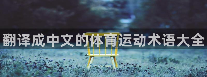 一竞技官网下载平台注册:翻译成中文的体育运动术语大全